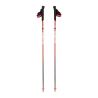 BASTONES SALOMON S/LAB ULTRA CARBON