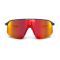 GAFAS JULBO DENSITY SPECTRON