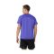CAMISETA MANGA CORTA ASICS ROAD FADE