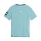 CAMISETA MANGA CORTA THE NORTH FACE SUMMIT SERIES HIGH TRAIL