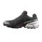 ZAPATILLAS SALOMON SPEEDCROSS 6 GTX 20 YEARS