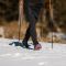 CRAMPONES NORTEC ALP LIGHT 2.5