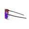 GAFAS JULBO DENSITY SPECTRON HD 3