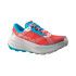 1209 - HIBISCUS/MALIBU BLUE